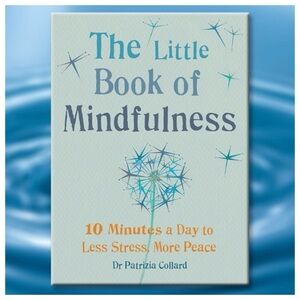 ❄️3 for 2❄️ The Little Book of Mindfulness | Gift Book